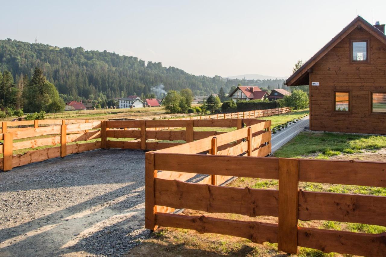 Chalet U Jana I Wita Istebna