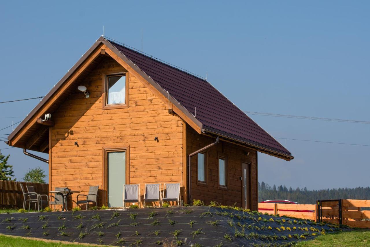 Chalet U Jana I Wita Istebna