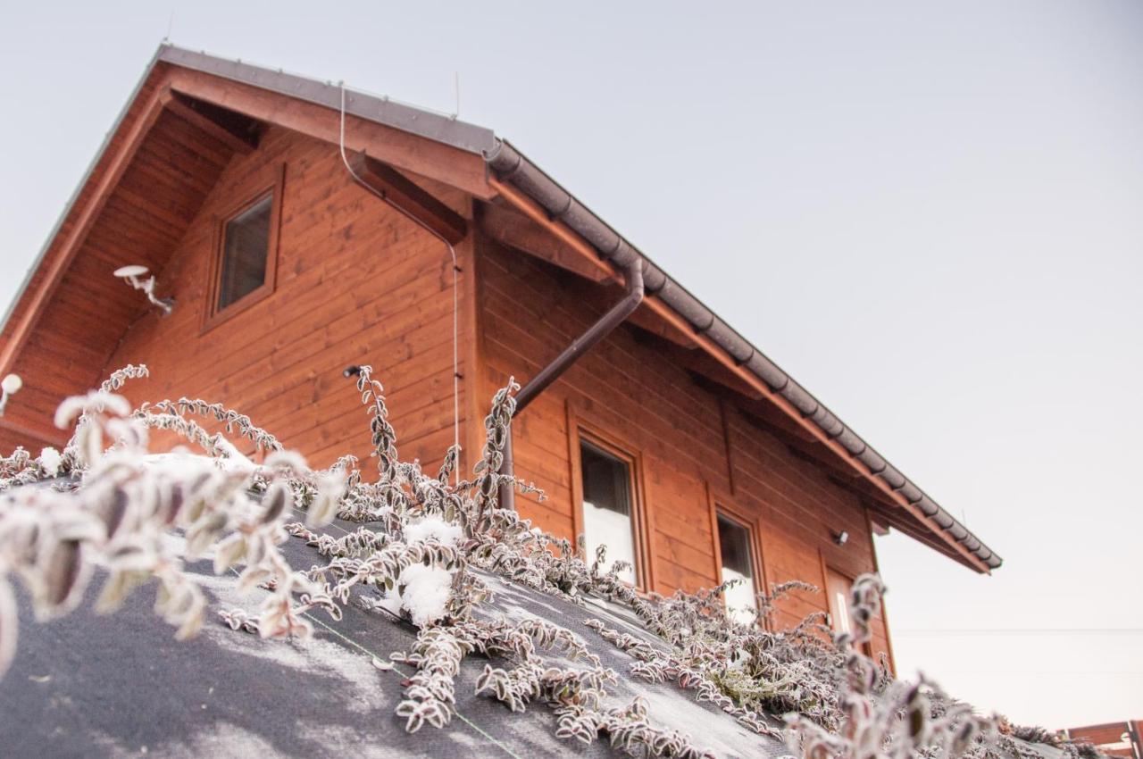 Chalet U Jana I Wita