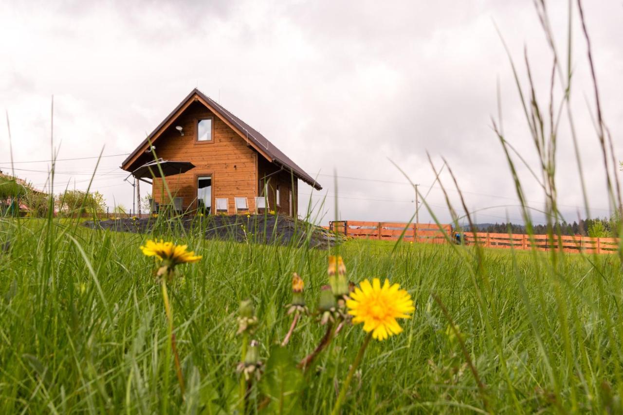 Chalet U Jana I Wita Istebna